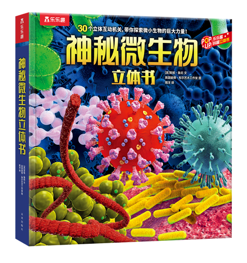 生活技能卷袜子教案_袜子的技术_生活技能袜子