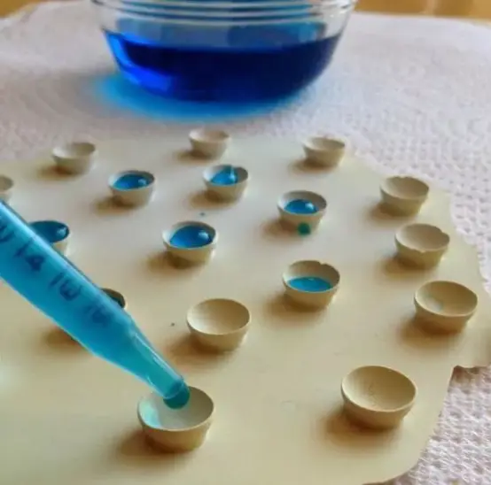 生活技能袜子_生活技能卷袜子教案_袜子的技术