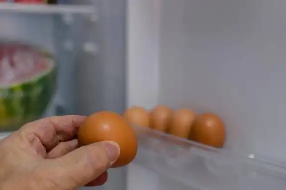 鸡蛋营养健身黄瓜能吃吗_鸡蛋蛋黄什么营养_健身鸡蛋黄营养