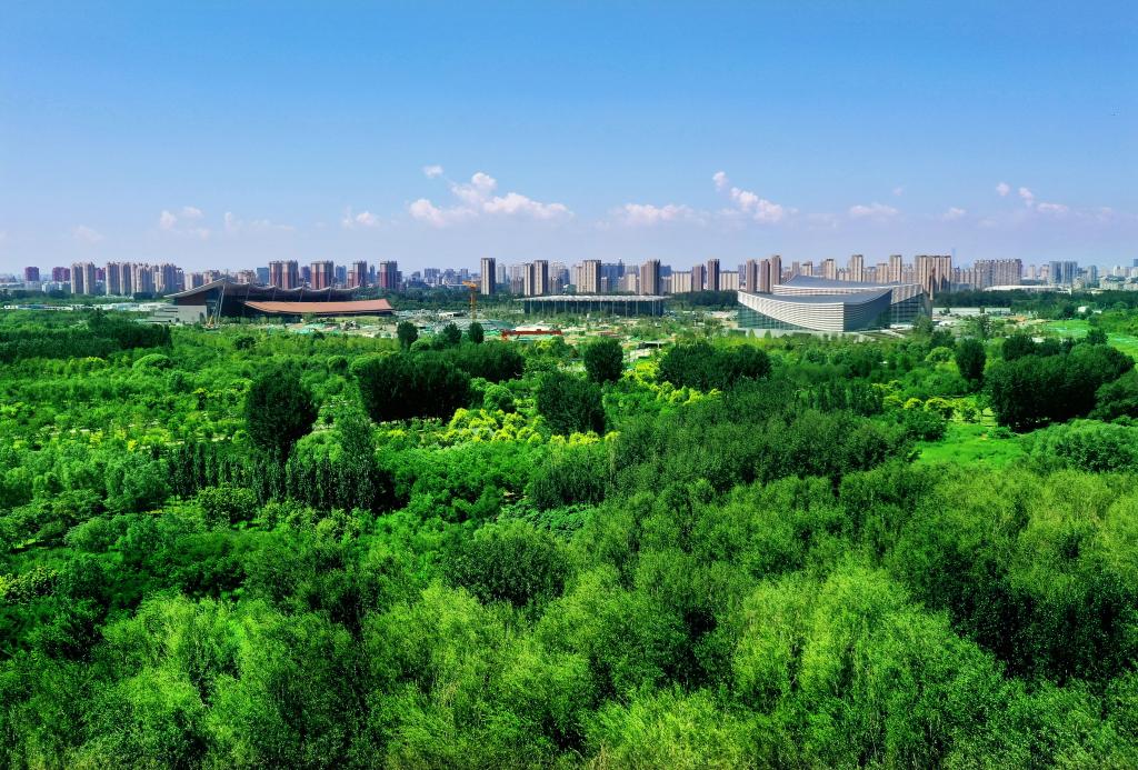 百科全书植物篇介绍_种植生活百科全书_快乐生活一点通全书