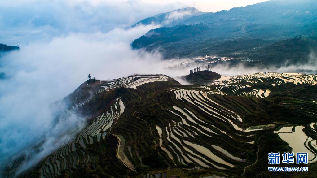 百科全书植物篇介绍_种植生活百科全书_快乐生活一点通全书
