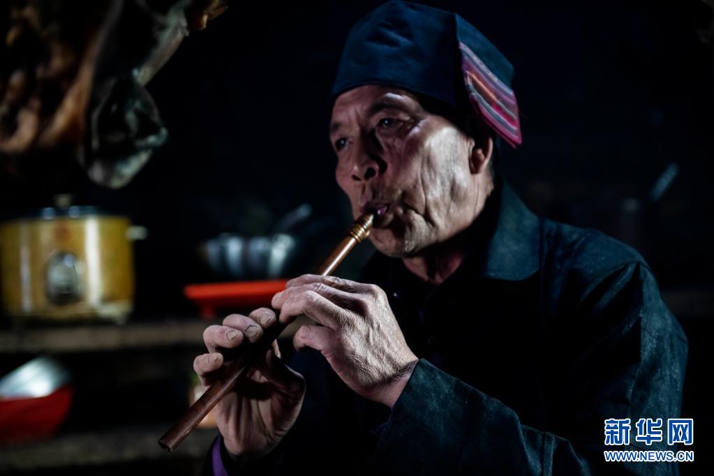 快乐生活一点通全书_种植生活百科全书_百科全书植物篇介绍