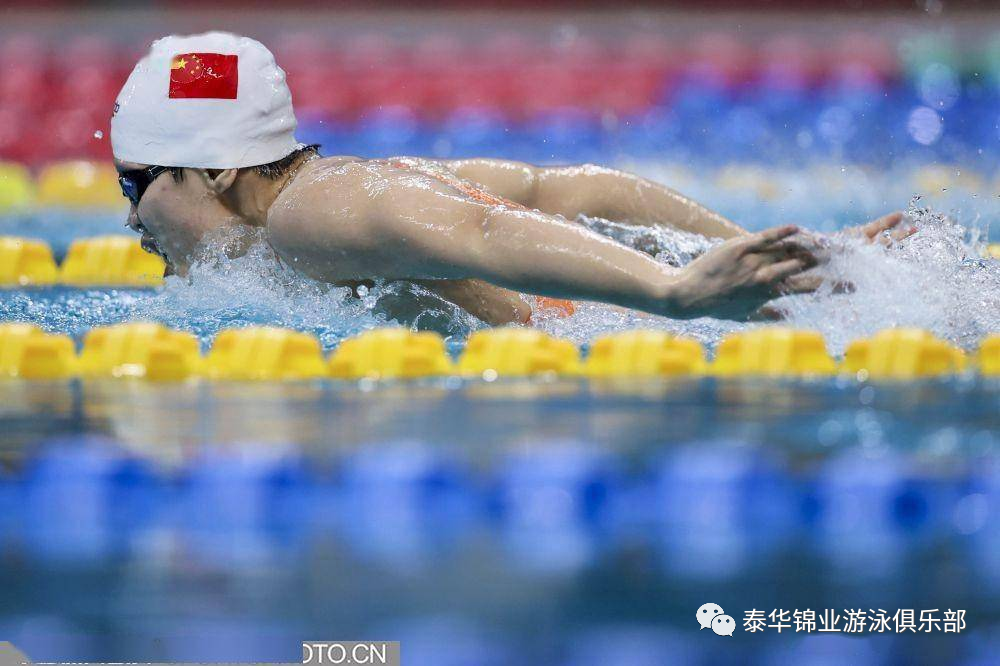 全国春季游泳锦标赛：河北泰华锦业游泳队勇夺6金2银3铜，圆满完赛！