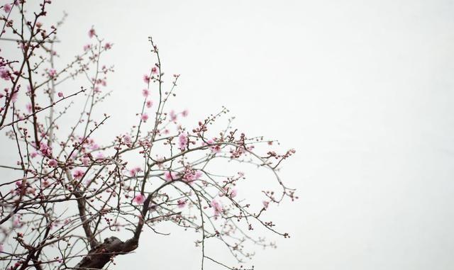 90后现实的生活方式_现代90后的生活方式_90后现实方式生活视频