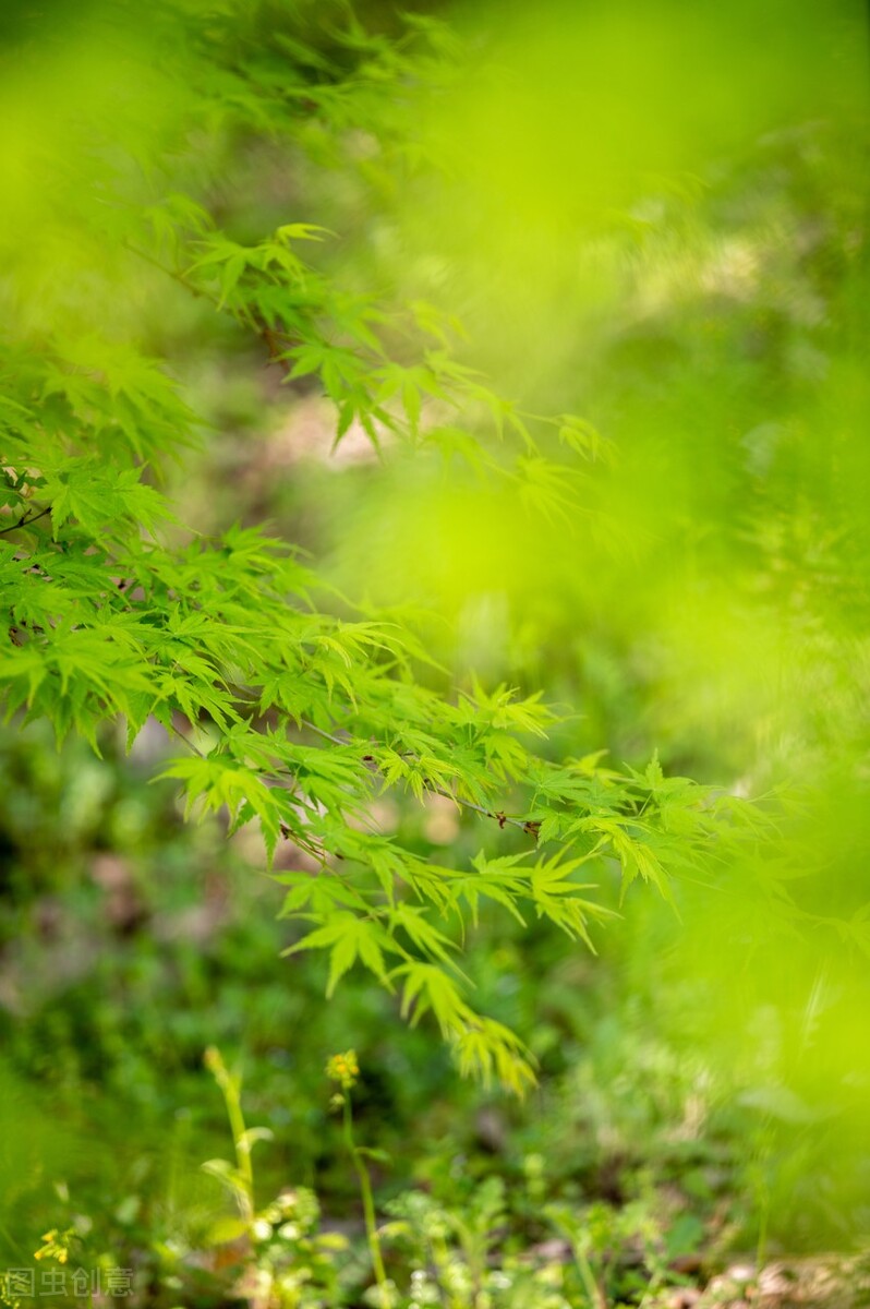 先苦后甜生活方式_生活苦与甜的说说_生活甜苦句子