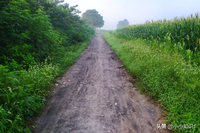 传统生活方式对联_对联与传统文化_传统的对联