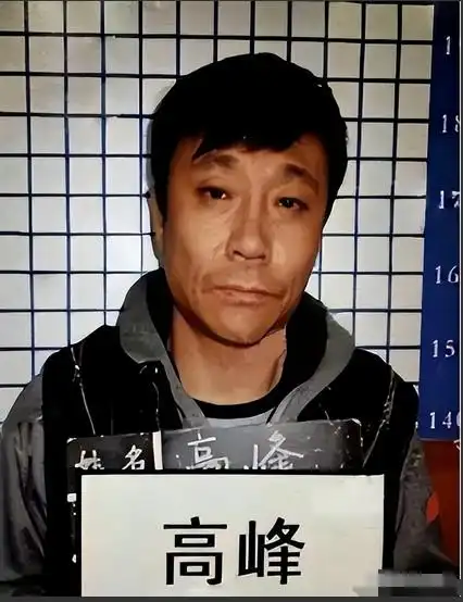 高峰员足球运动员是谁_足球运动员高峰_足球运动员高峰个人简历