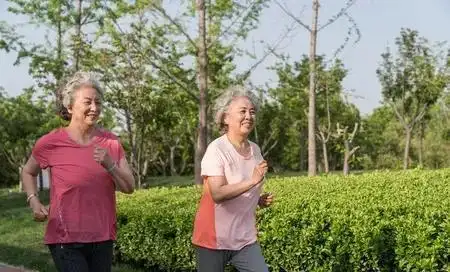 方式生活是什么意思_生活方式就是_人能有两种生活方式吗