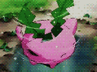 植物运动会1阿秋_植物能运动吗_植物运动会作文