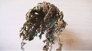 植物运动会作文_植物运动会1阿秋_植物能运动吗